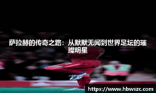 w66全站